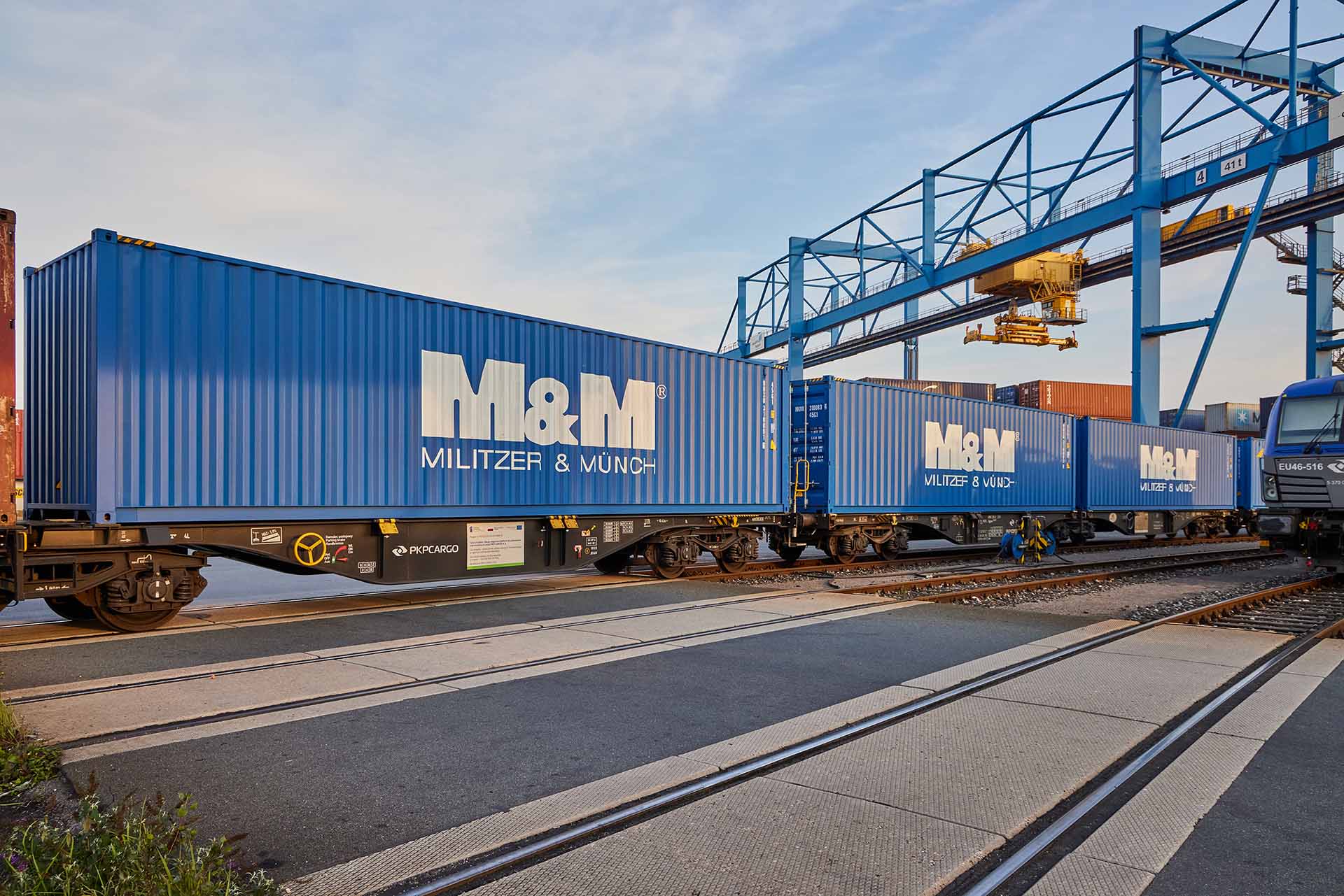 M+M Logistic